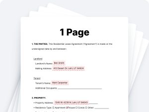 1 Page